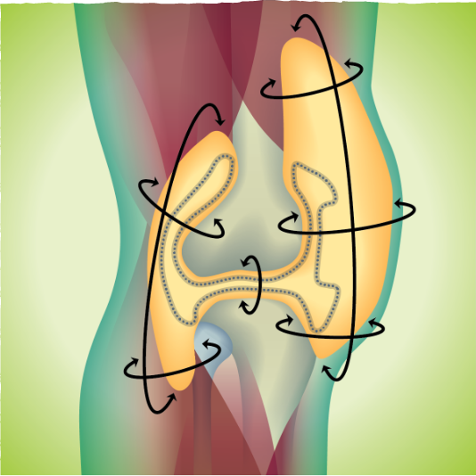 Tumor volume management