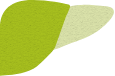Liver icon