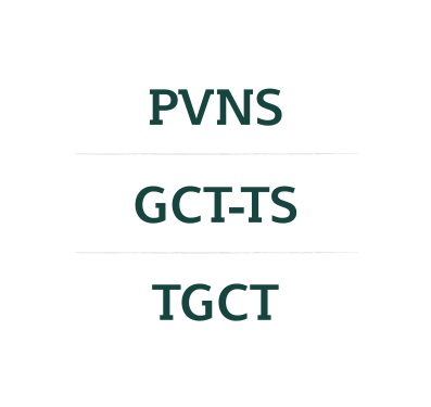 PVNS, GCT-TS, and TGCT are terms that refer to the same disease